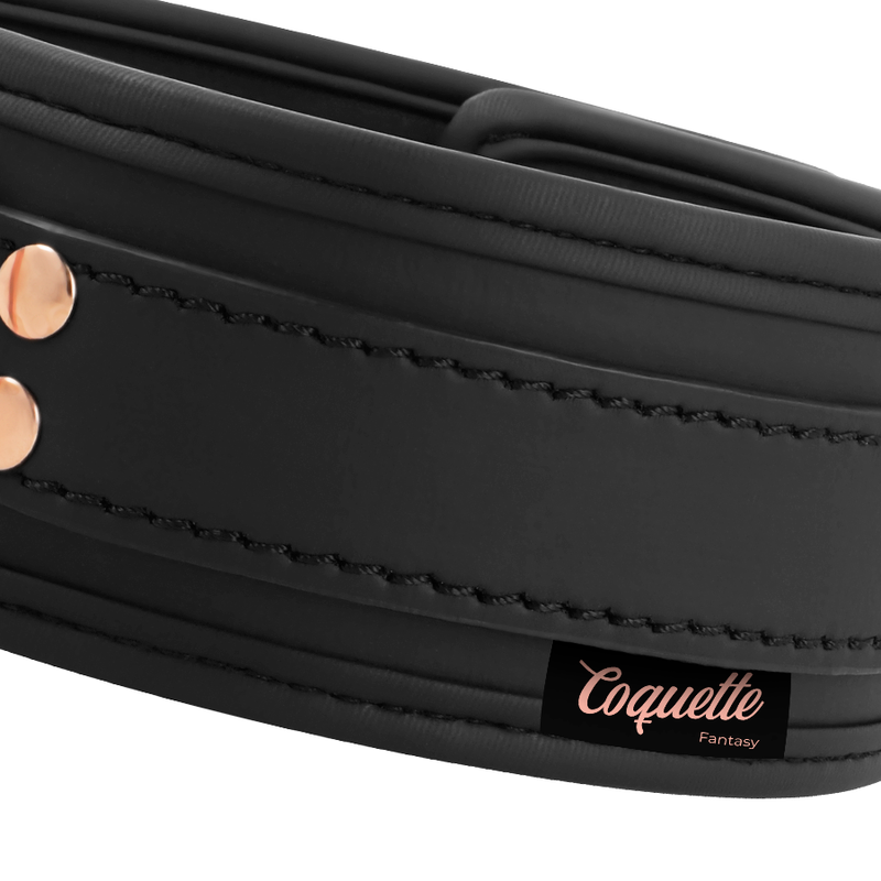 Coquette Chic - Desire Fantasy Vegan Leather Collar With
