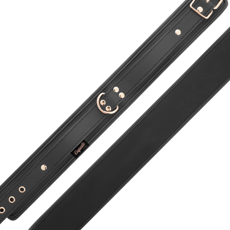 Coquette Chic - Desire Fantasy Vegan Leather Collar With