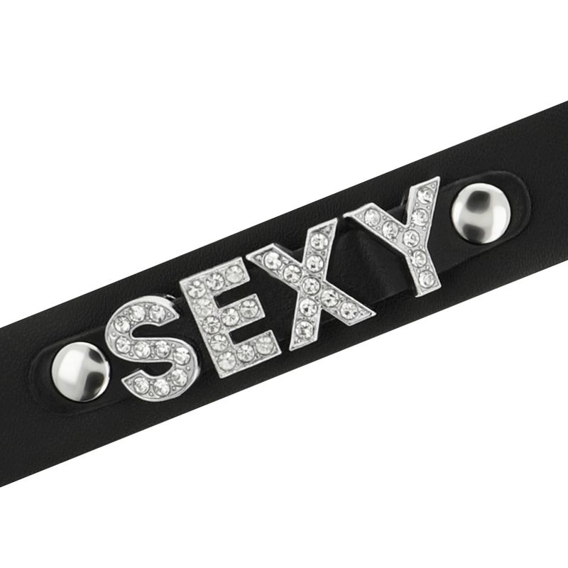 Coquette Chic - Desire Sexy Vegan Leather Choker