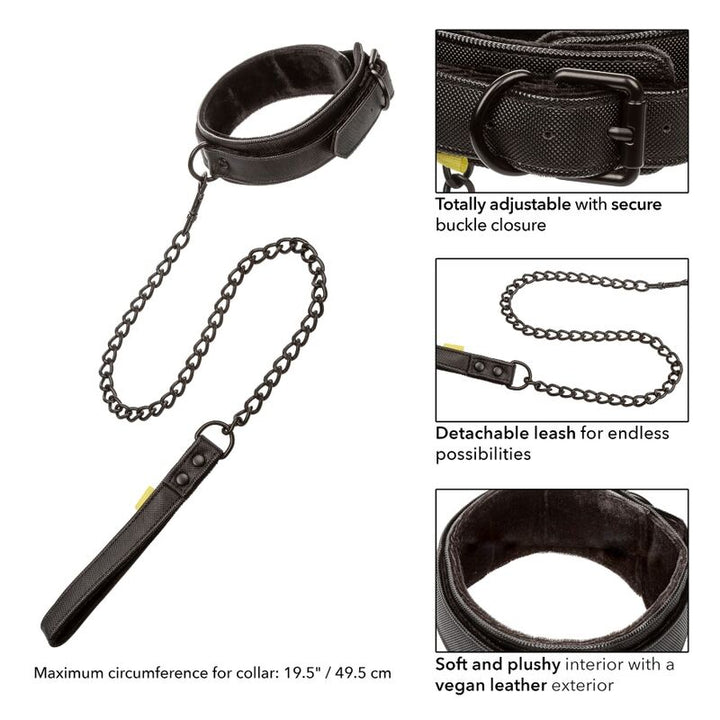Calexotics - Boundless Collar And Leash