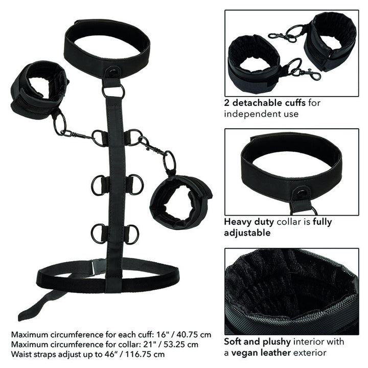 Calexotics - Boundless Collar Body Restraint