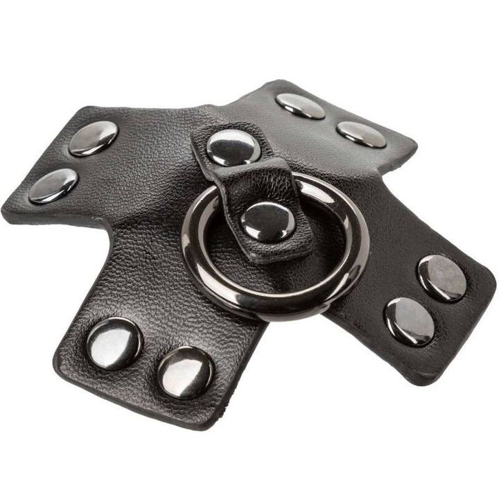Calexotics - Euphoria O-Ring Black