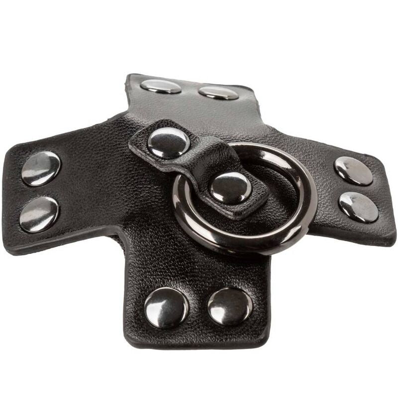 Calexotics - Euphoria O-Ring Black