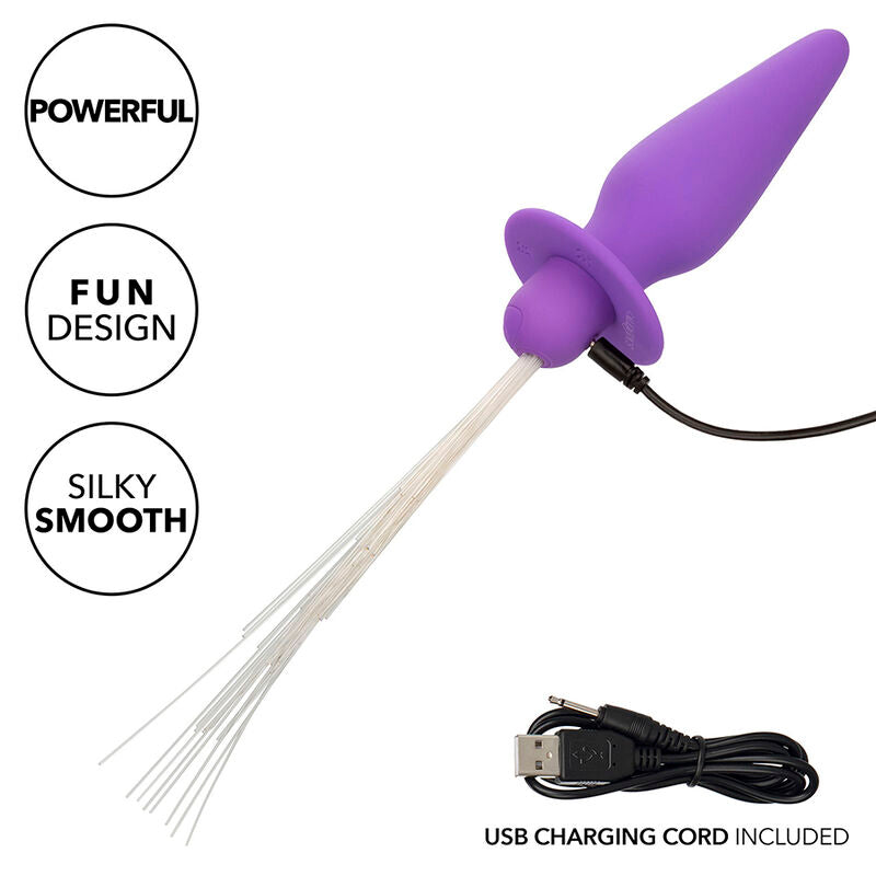 Southern Lights Light Up Anal Plug 10 Vibrations — Purple