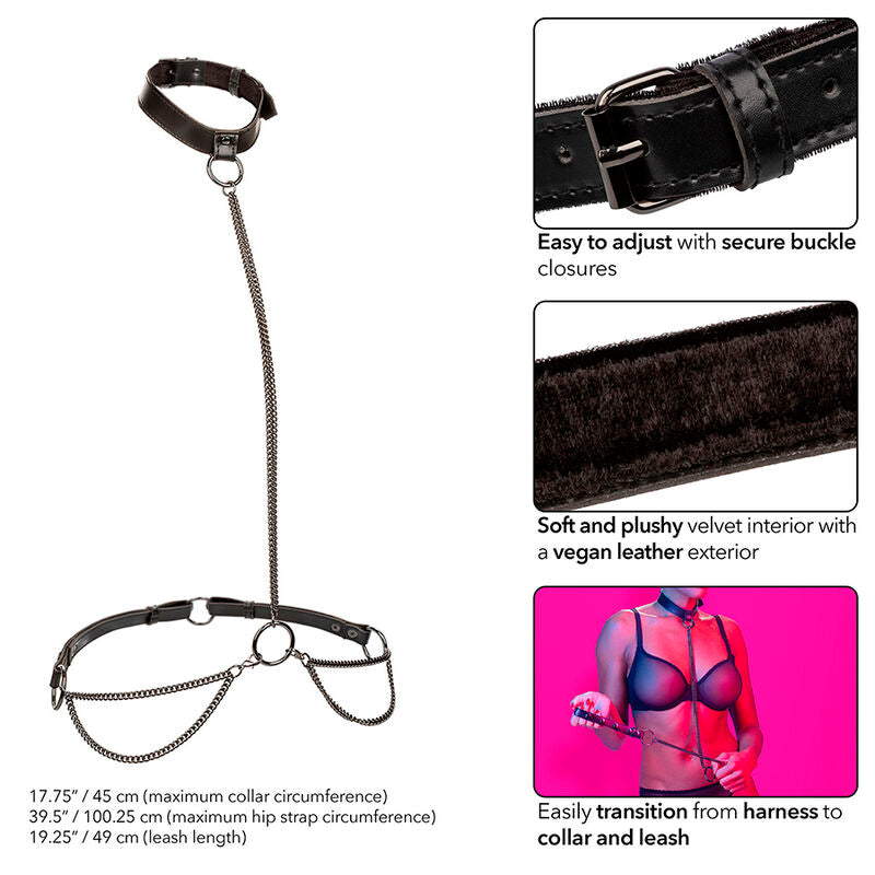 CALEXOTICS - EUPHORIA CHAIN HALTER COLLAR &amp; LEASH