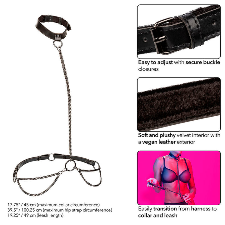 CALEXOTICS - EUPHORIA CHAIN HALTER COLLAR &amp; LEASH