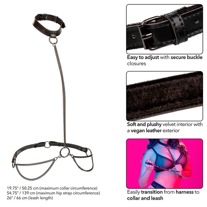 CALEXOTICS - EUPHORIA CHAIN HALTER COLLAR &amp; LEASH PLUS SIZE