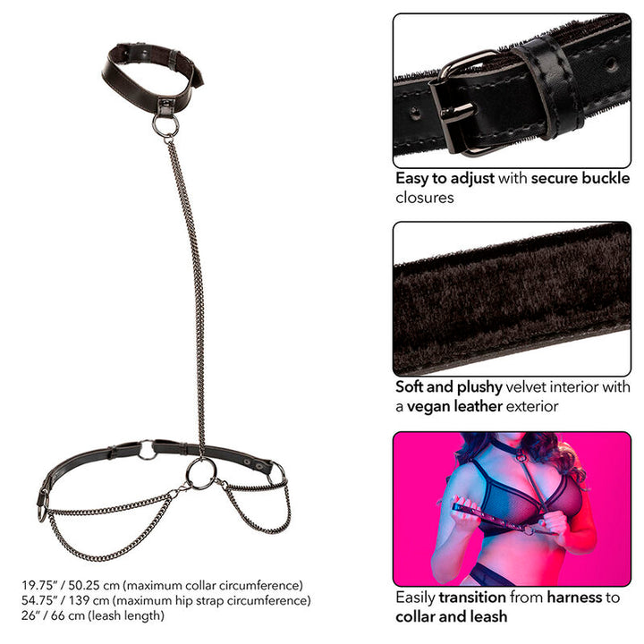CALEXOTICS - EUPHORIA CHAIN HALTER COLLAR &amp; LEASH PLUS SIZE