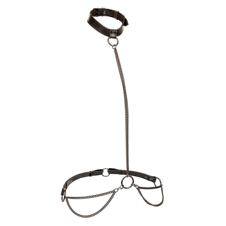 CALEXOTICS - EUPHORIA CHAIN HALTER COLLAR &amp; LEASH PLUS SIZE