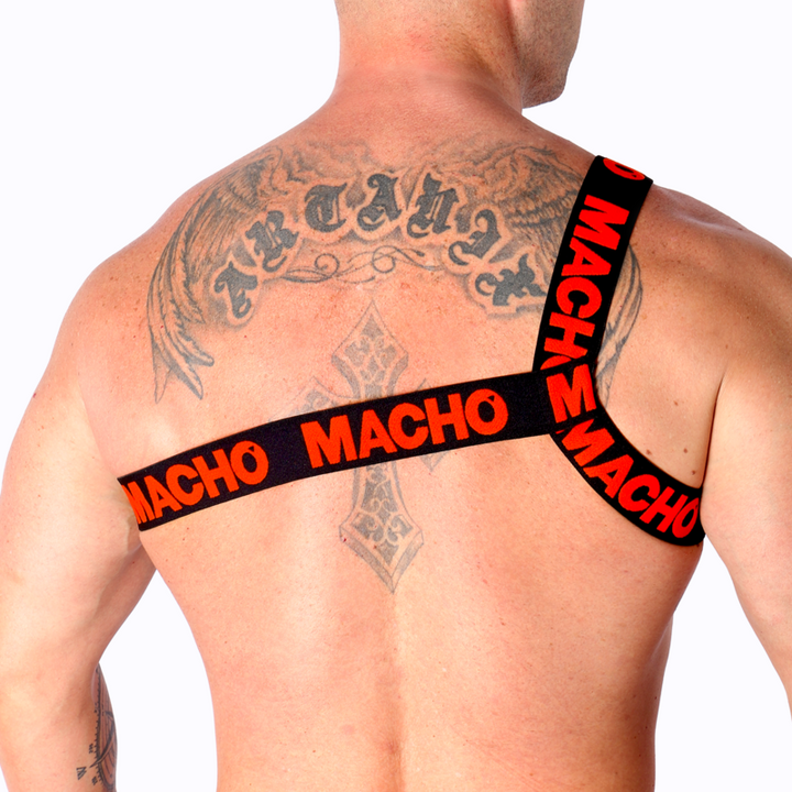 https://dreamlove.gesio.be/productos/imagenes/img_187089_e55ef36489aaf6d3b5bc1c906addbaaf_1.png