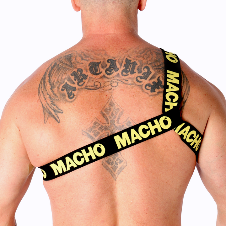 https://dreamlove.gesio.be/productos/imagenes/img_187091_2f38c0fb66c2ae396c431a22893c5cae_1.png