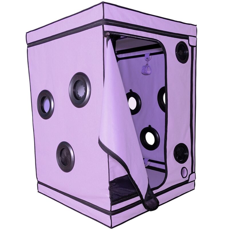 SECRET DOME - KINK CLUB CABIN SCANDALE PURPLE
