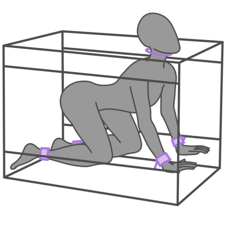 SECRET DOME - KINK CLUB LA NICHE CABIN PURPLE